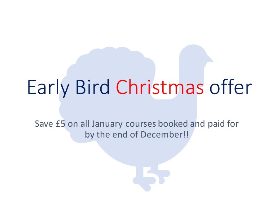 Early Bird Christmas Offer!