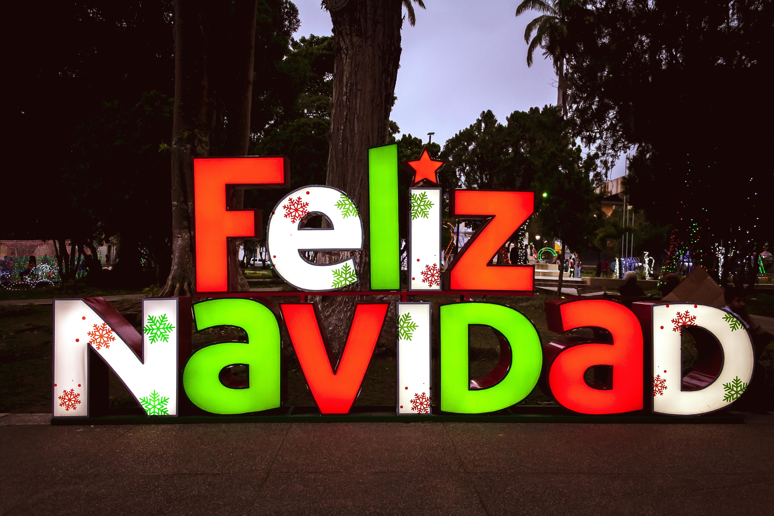 Fiesta de navidad